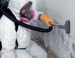 Best Mold Remediation for Healthcare Facilities  in Marshville, NC